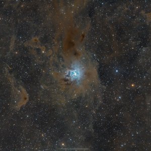 NGC7023 - Iris Nebel