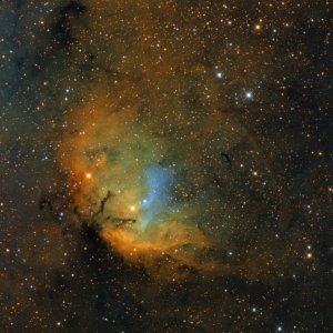 SH2-101 Tulip Nebula with Cygnus X-1