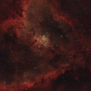 IC1805_Duo_Narrow_Band