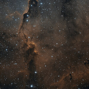 IC 1396, Elefantenrüssel in HOO