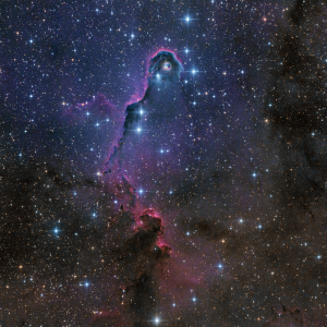 IC1396 - Elefantenrüsselnebel