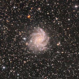 NGC6946 - Feuerwerksgalaxie