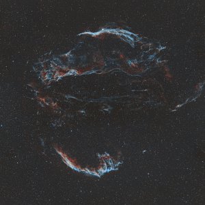 Filament-Nebel Mosaic