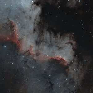 Cygnus Wall in NGC7000