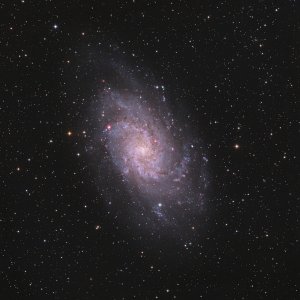 M33