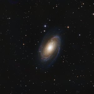 M81