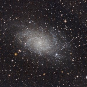 M33 3h bei f/3 vom 03.10.22 ; 6" f/4 Newton; 1 min subs; Canon 77da;