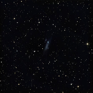 NGC2366 (+ NGC2363 als Nachbargalaxie)
