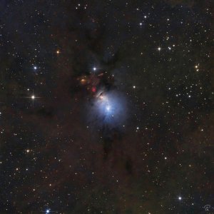 NGC1333