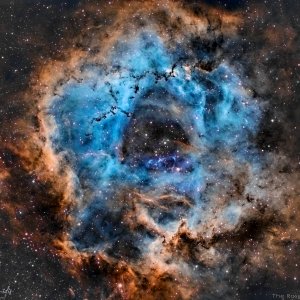 The Rosette Nebula