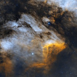 Pelican Nebula HOO