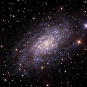 NGC 2403 und NGC 2404 in Kontinuum (finale Version)