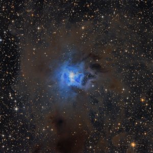 NGC 7023