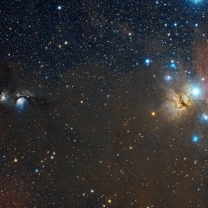 M78 , IC 434 the region