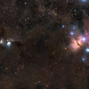 M78 , IC 434 the region