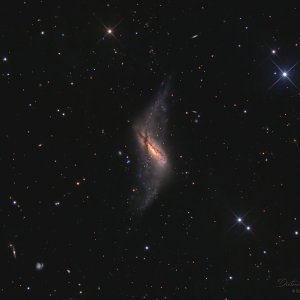 Polarring-Galaxie NGC 660