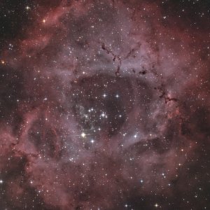 NGC 2237: Rosette Nebula