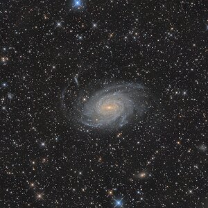 Pavo Galaxy NGC 6744