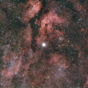 γ-Cygni-Nebel