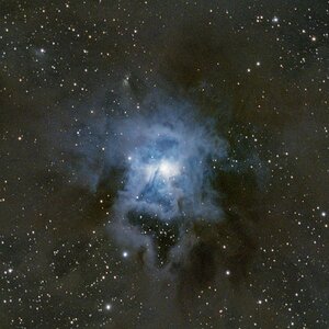 Irisnebel