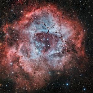 NGC2244-neu-PS-8-1600.jpg