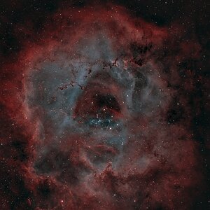 NGC2244 - Rosetten-Nebel in HOO