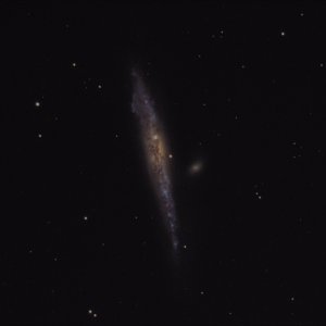 Walfischgalaxie NGC 4631