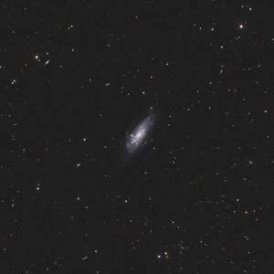 4559-65x5kleingut.jpg