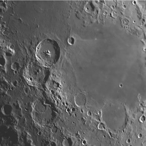 Mewlon -210  260423 18_59_04.jpg