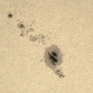 Mewlon 210  070523 16_28_30  3,0%.jpg