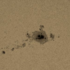Sonne_WL_3297_08052023.jpg