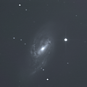 M 66 Leo 13.05.23.png