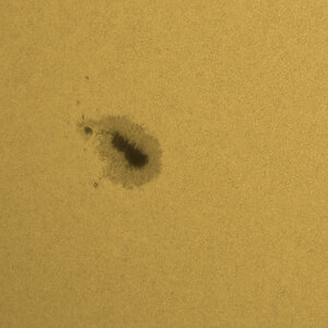 Sonne_WL_3310_21052023.jpg
