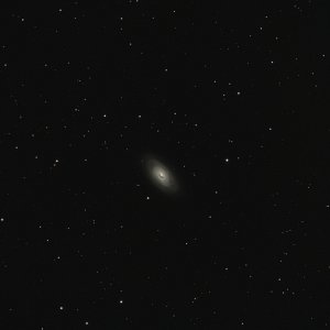 M64