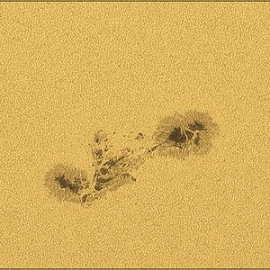 TSA-120 270523 08_55_24.jpg