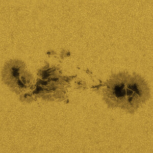 Sonne_WL_3315_27052023.jpg