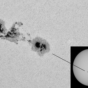 Sonnenfleckengruppe