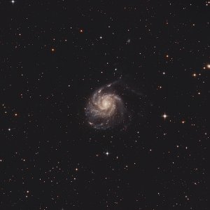 M101 + SN2023ixf