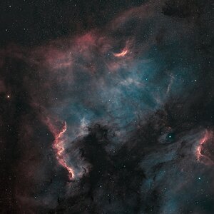 NGC 7000  IC 5070 - Ein nord-amerikanischer Pelikan in HOO