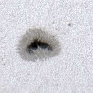 AR-13321 am 04-06-23 mit OMC140 + ASI 178MC um 13_13 MESZ.jpg