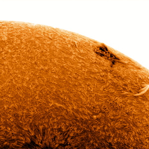 Daystar Quark Chromo (First Light) - Fertig!