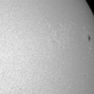 SUN_IMG_7401_d_web.jpg