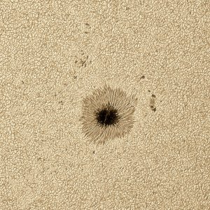 2023-06-07-1229_5-Sun_lapl5_ap10009_RS01_PS01c1.jpg