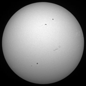 7425_SUN_web.jpg