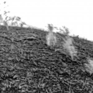 s2.jpg