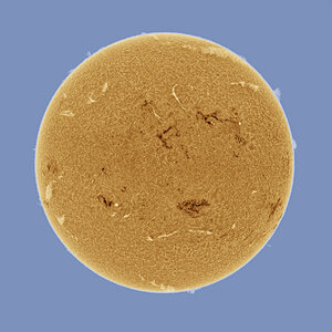 sundisk_halpha_11062023.jpg