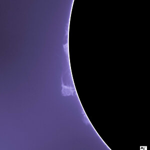 100-9323 Calcium Protuberanz 14062023 1333 UTC.jpg
