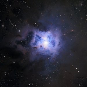 NGC7023 - Iris Nebel