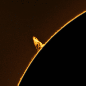 Sun_115443_lapl5_ap32_20230618200850_aligned_20230618201836_pipp.gif