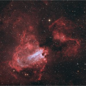 (Newton20) M17 Omega Nebula T2600C Forum.jpg